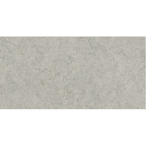 Italon Керамический гранит Forum Керамогранит Stone Silver 60x120 натуральный