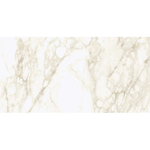 Coliseum Michelangelo Керамогранит Warm 60x120 натуральный