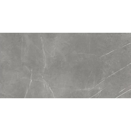 Atlas Concorde Russia Forte Dei Marmi Керамогранит Elegant Grey 60x120 патинированный 