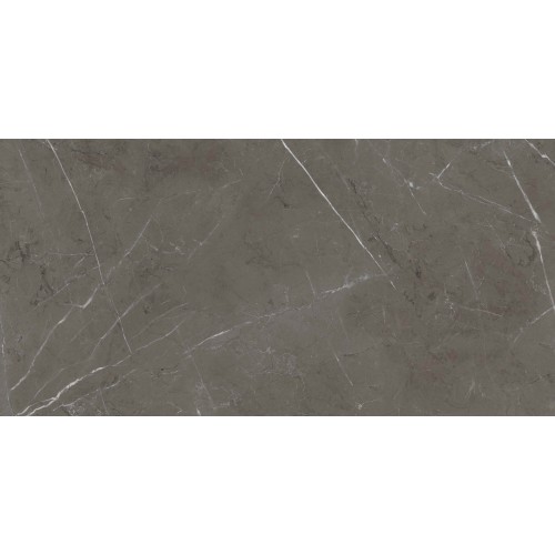 ABK Sensi 900 Керамогранит неглазурованный (UGL) Stone Grey 60x120 полированный