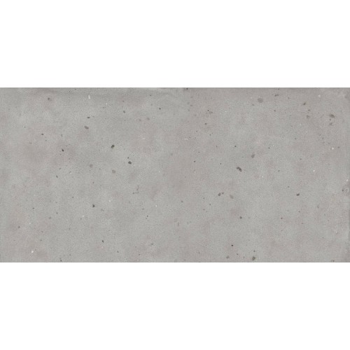 Italon Керамический гранит Avantgarde Керамогранит Silver 60x120 натуральный