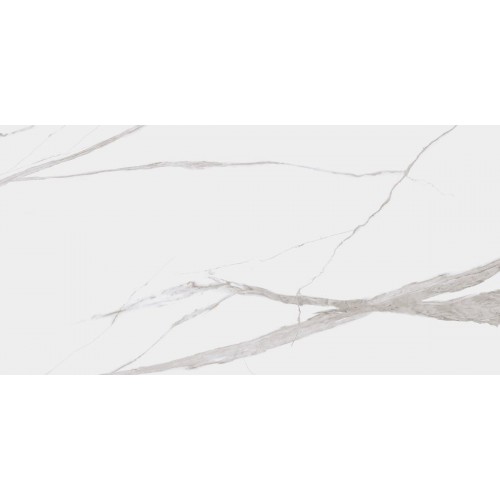 Dogma Project Antibacterial Керамогранит Calacatta Levigato 60x120 полированный
