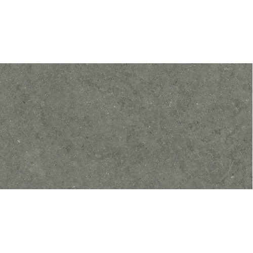 Italon Керамический гранит Forum Керамогранит Stone Iron 60x120 натуральный